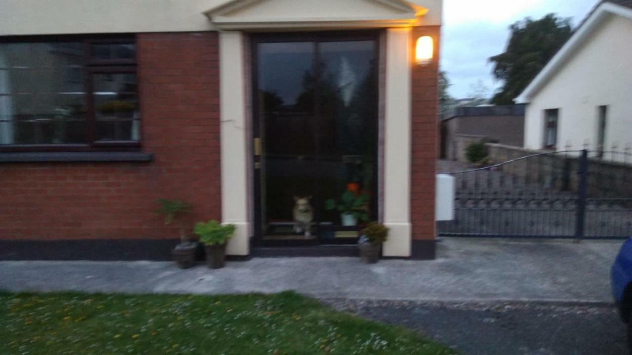 big bright room Carrigaline Exterior foto